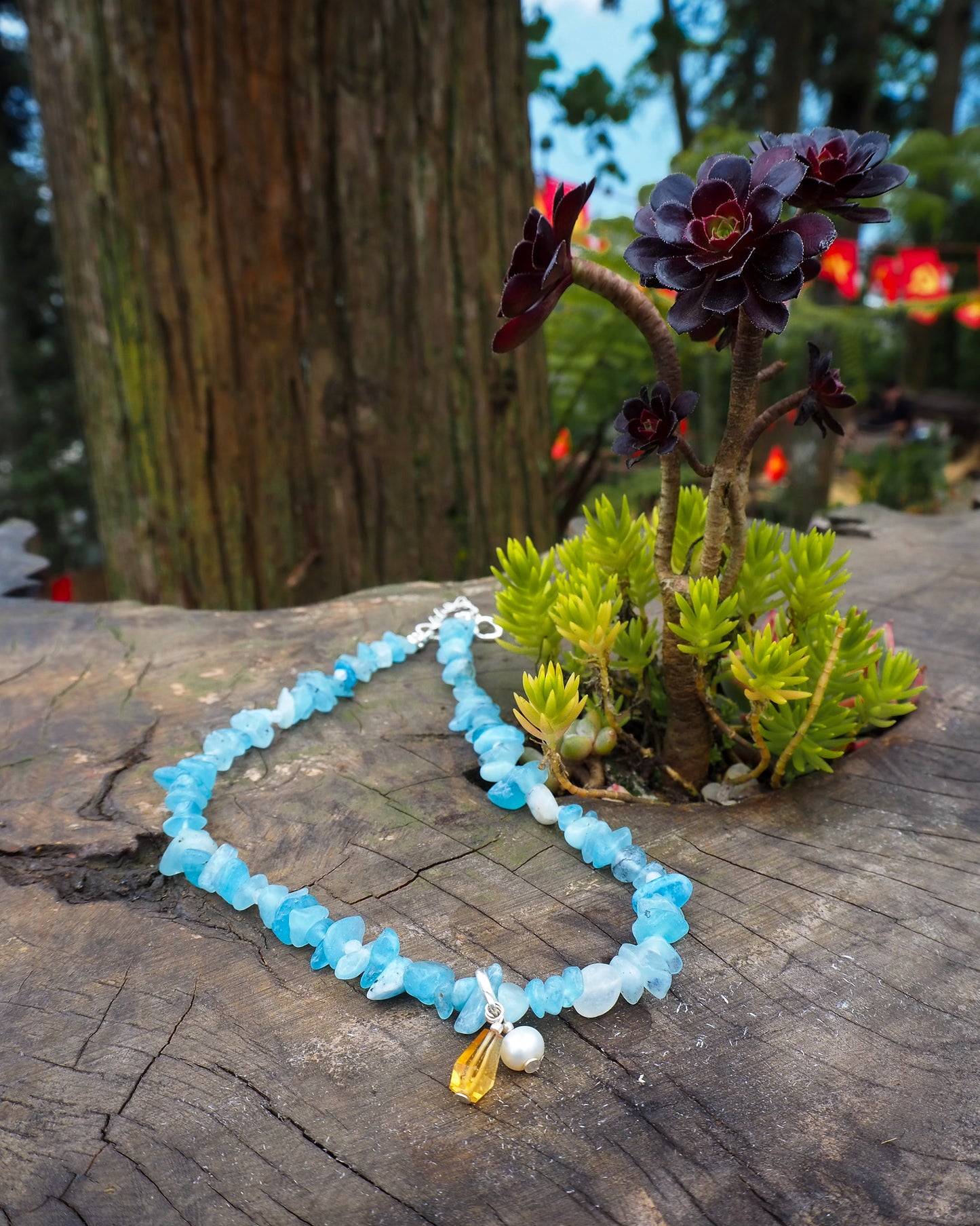 Aquamarine necklace with pearl and citrine charm displayed on a wooden surface beside small succulents – natural gemstone jewelry by elswre